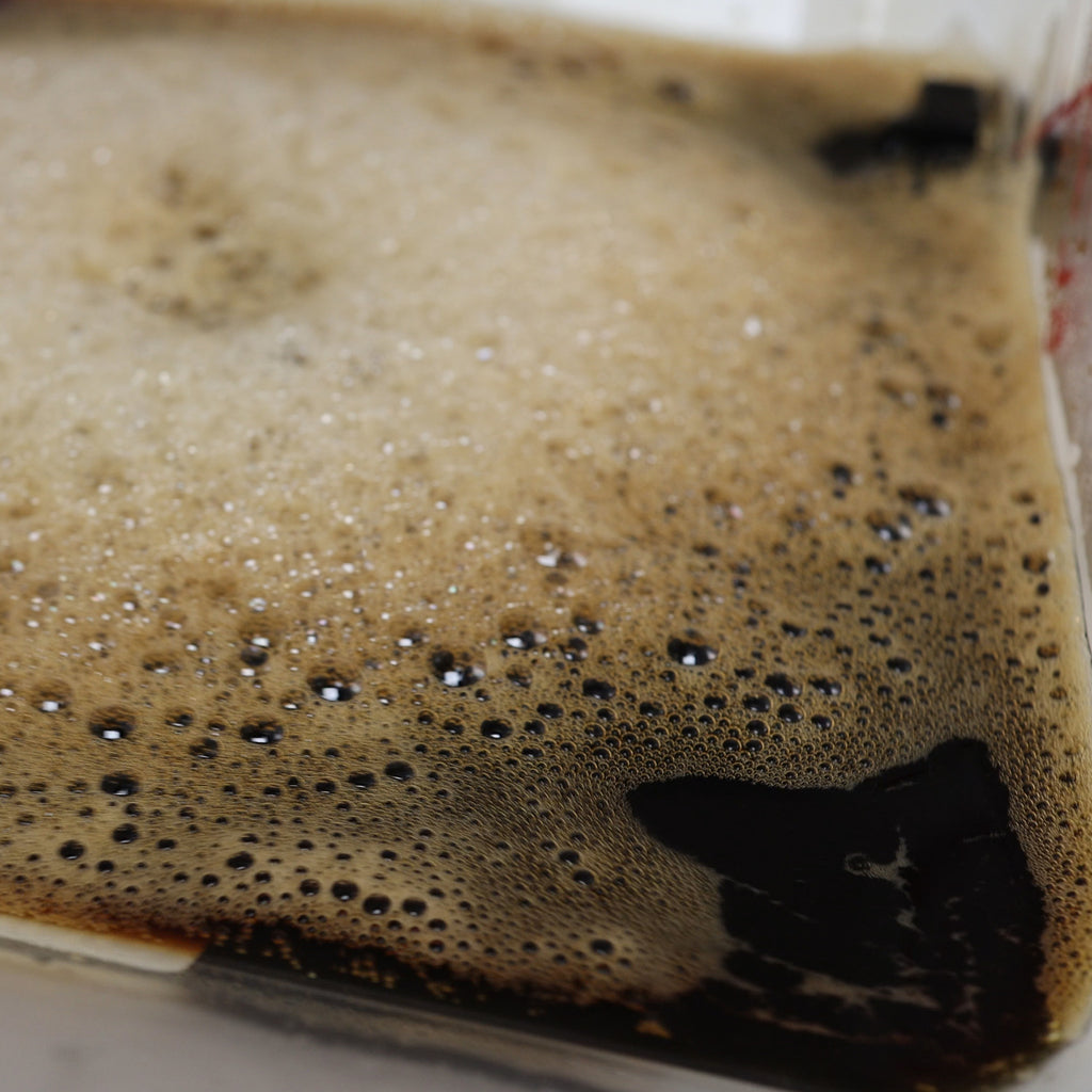 HIVE CAFÉ 6 - The Fastest Retail Countertop Cold Coffee Brewer