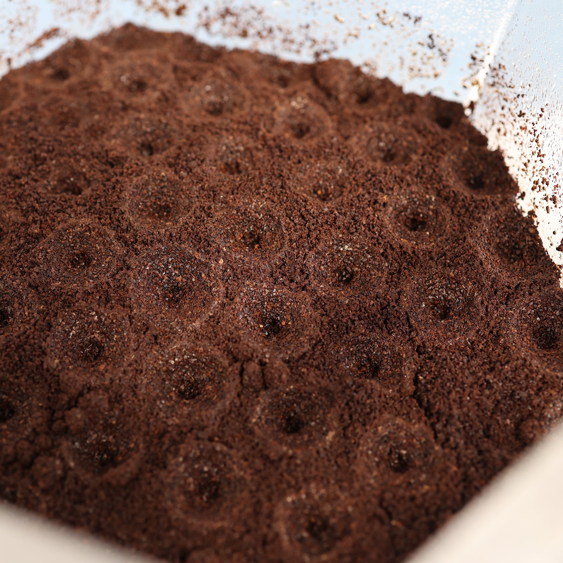 HIVE CAFÉ 6 - The Fastest Retail Countertop Cold Coffee Brewer